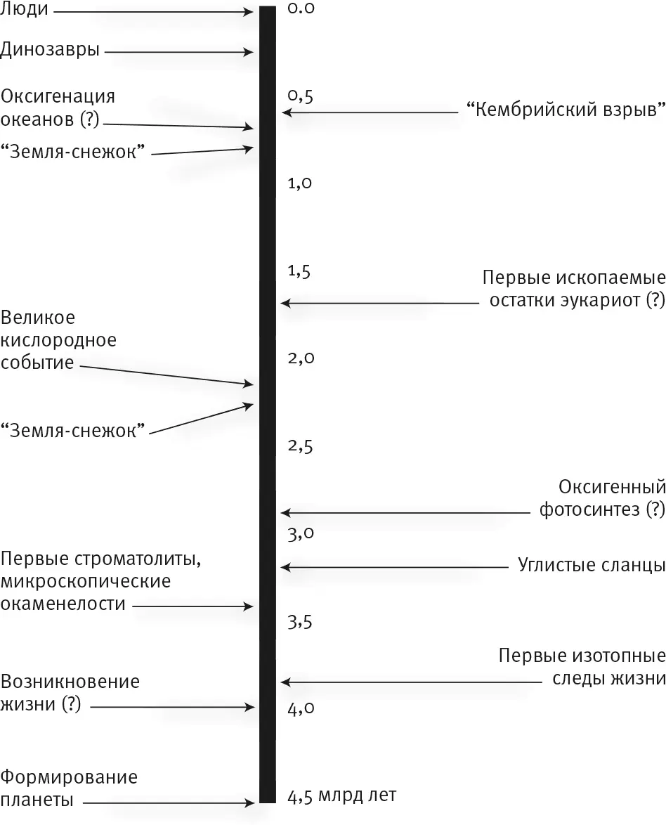 Рис 2Этапы развития жизни на Земле На шкале отражены примерные даты ключевых - фото 2