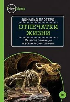 Дональд Протеро - Отпечатки жизни 25 шагов эволюции и вся история планеты