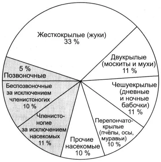 Рис 54Биоразнообразие животных и преобладание членистоногих особенно - фото 30
