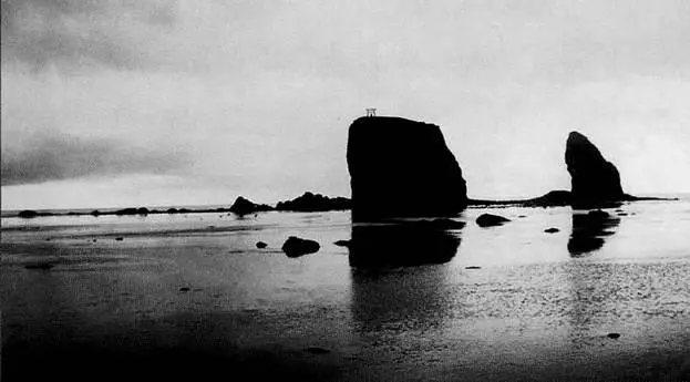 Святилище на вершине скалы Тисия Библиотека Ёити Хоккайдо Однако в - фото 30