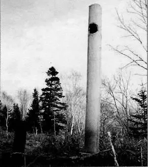 Тории храма Оояма Казаками дзиндзя Фото автора Синегорск октябрь 2003 г - фото 32