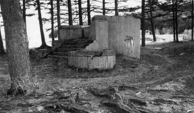 Павильон эмася храма Сиритору дзиндзя Фото автора Макаров июнь 1998 г - фото 47