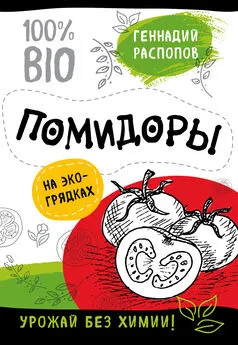 Геннадий Распопов - Помидоры на экогрядках. Урожай без химии