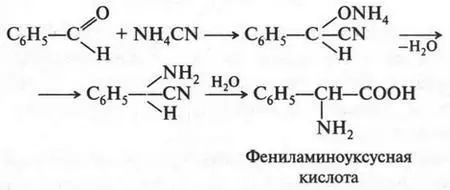 Наибольшую роль играют αаминокислоты Именно они являются структурными - фото 285