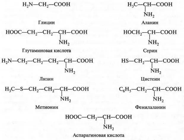 Известно что живой организм синтезирует белки из аминокислот Но что является - фото 286