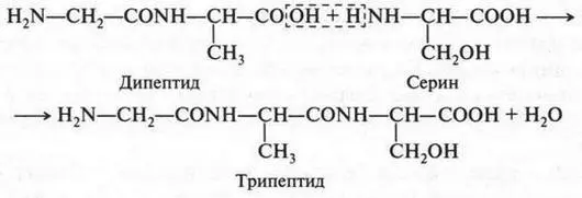 Такой процесс можно сравнить с постепенным нанизыванием бус на нить При этом - фото 302