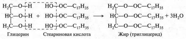 Итак жир это сложный эфир глицерина и высших жирных кислот Такие сложные - фото 307