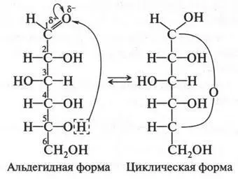 Почему возможен такой переход Дело в том что молекула глюкозы в пространстве - фото 311