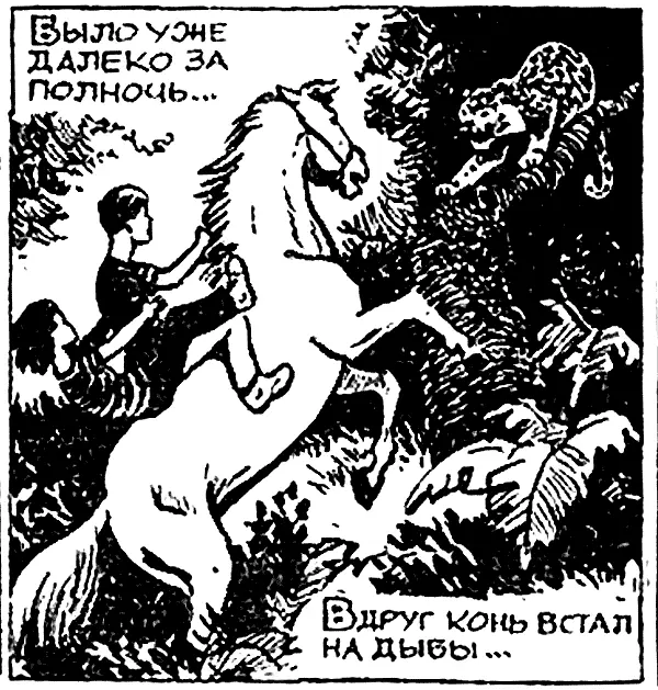 Было уже далеко за полночь Вдруг конь встал на дыбы Мелькнула пятнистая - фото 90