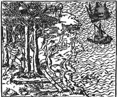 Рубка дерева бразил из книги А Тевэ Пиратское нападение со старинной - фото 66