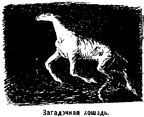 Никто не замѣтилъ какъ я вошелъ хотя огни были уже зажжены Я сѣлъ за - фото 8