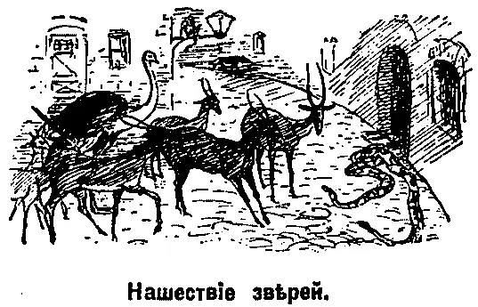 Нашествіе звѣрей было такъ велико что во французскомъ кварталѣ стрѣляли на - фото 13