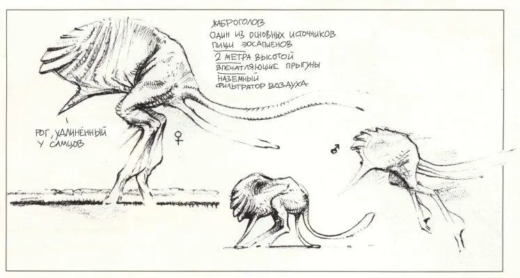 Основная пища эосапиена жаброголов один из немногих наземных фильтраторов - фото 124