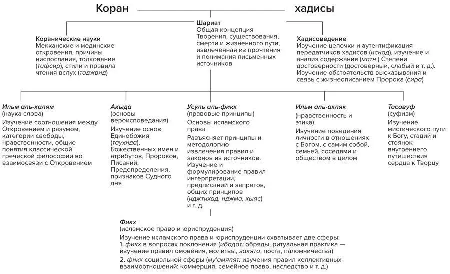 Со временем подобная категоризация привела к ряду негативных эффектов узкая - фото 2