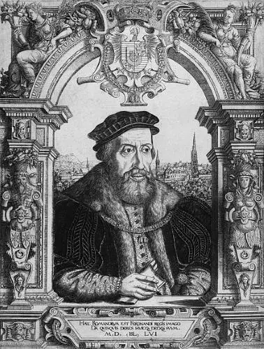 Фердинанд I 1556 год На заднем плане панорама Вены резиденции императоров - фото 5