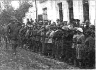 Женский Железный курень Украинской Галицийской Армии Фотография 1919 года - фото 317