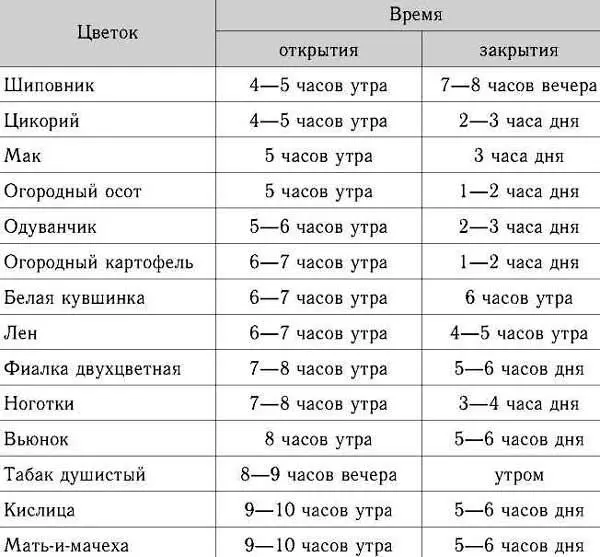 Предсказание погоды по насекомым Признаки ухудшения погоды По бабочкам - фото 30