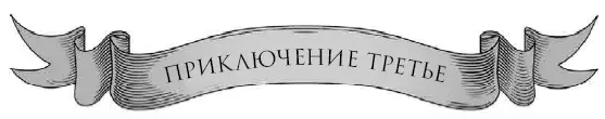 ГОРНОЛЫЖНАЯ ТУРБАЗА ЛЕДОВЫЙ ДВОРЕЦ 1 ФЕВРАЛЯ 0824 Кот Константин и - фото 4