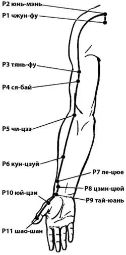 Рис 71 Меридиан легких Под системой меридиана легких подразумеваются легкие - фото 74