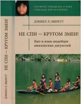 Дэниел Эверетт - Не спи — кругом змеи! Быт и язык индейцев амазонских джунглей