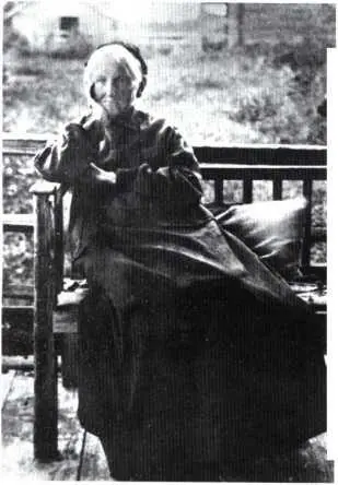 АГ Коваленская С М Соловьев ПС Соловьева 1880е гг - фото 7
