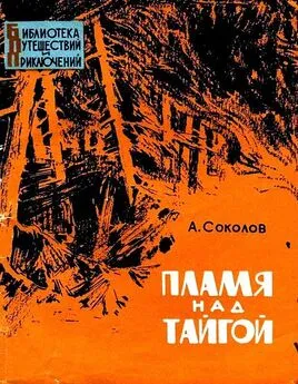 Анатолий Соколов - Пламя над тайгой