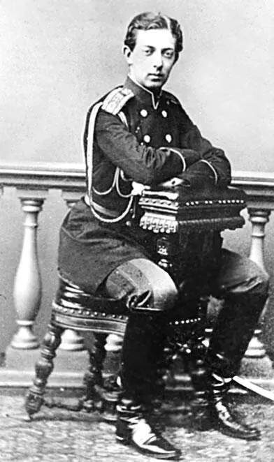 Великий князь Николай Александрович Цесаревич родившийся 8 сентября 1843 г в - фото 254