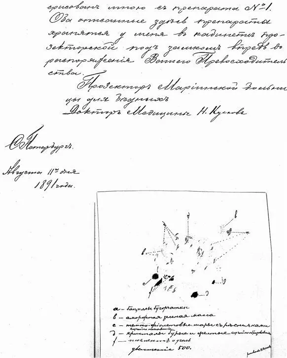 Рапорт прозектора Мариинской больницы Н Кускова 11 августа 1891 г Фрагмент - фото 293