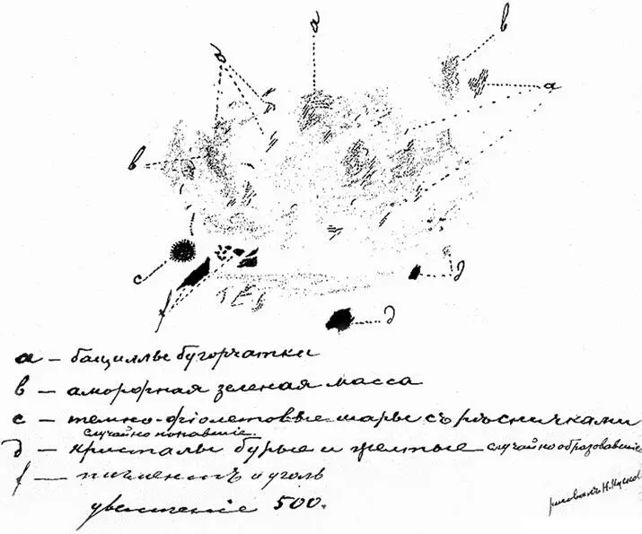 Рапорт прозектора Мариинской больницы Н Кускова 11 августа 1891 г Фрагмент - фото 294