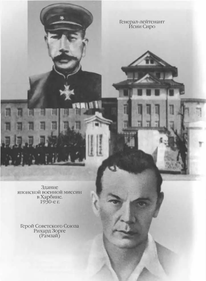 Лейтенант Элли Ивановна Бронина Фото 1935 г Полковник Я Г - фото 7