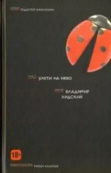 Владимир Лидский - Улети на небо