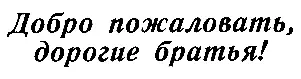 Часовые в новеньких австрийских шинелях с лодочками на головах застыли на - фото 11