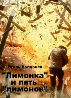 Игорь Волознев - «Лимонка» и пять «лимонов» (СИ)