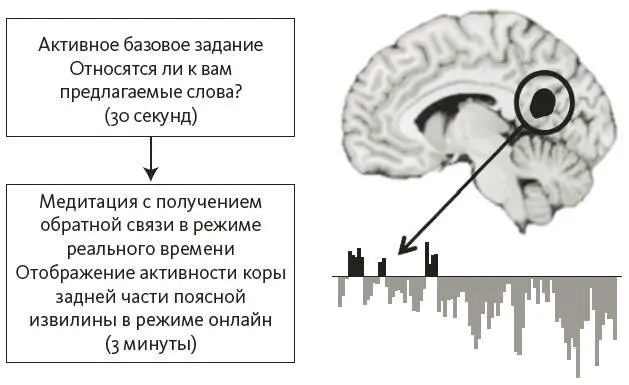 Схематичное изображение протокола нейронной обратной связи За активным базовым - фото 8