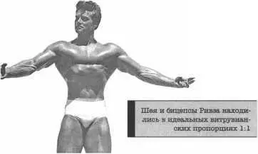 Мышцы шеи и трапеции Секунду внимания Стоит ли вообще бодибилдерам - фото 50