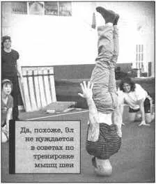 Большинство бодибилдеров которые регулярно посещают спортзал надеются - фото 51