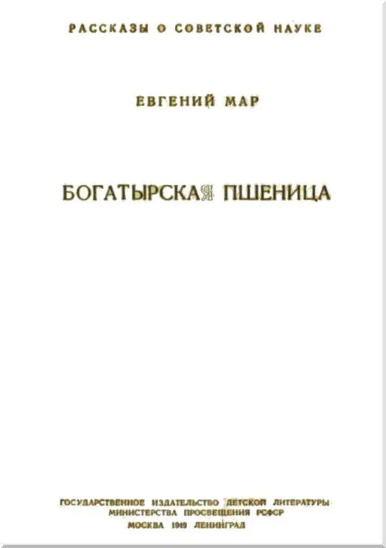 О хлебном ломтике Если бы вещи вдруг заговорили сколько чудесных историй - фото 1