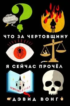 Дэвид Вонг - Что за чертовщину я сейчас прочёл