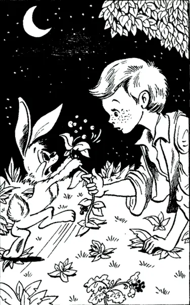 Но Лунный Зайчик братец Чик заметил это и теперь знал туда дорогу Омела это - фото 14