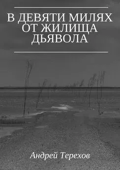 Андрей Терехов - В девяти милях от жилища дьявола
