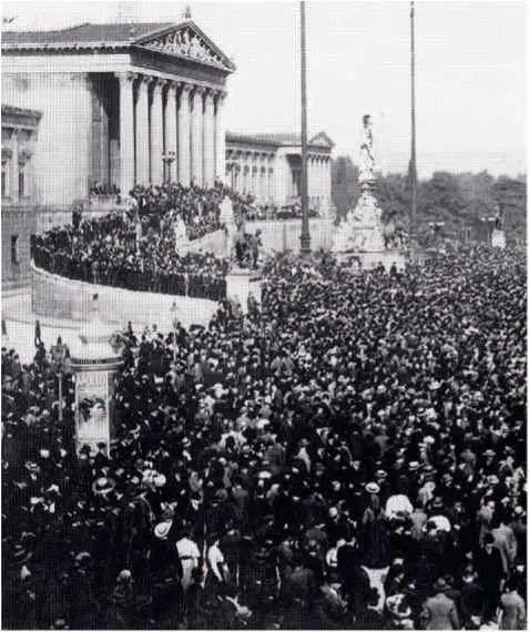 Демонстрация перед зданием парламента 2 октября 1910 года Они обвиняли - фото 17