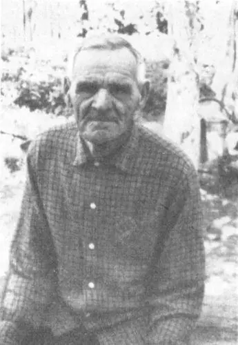 Василий Иванович Марчук Анастасия Александровна Марчук Нина Васильевна - фото 19