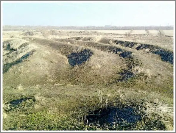 Усы майдана История 14я Белая звезда растаявшая в белой заре НА МОЙ - фото 33