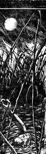 Судорожно хватаясь за камыши девушка пыталась крикнуть Шум реки заглушил все - фото 23