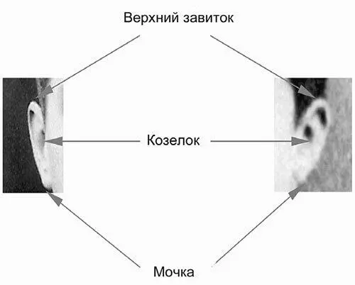 Антропометрическое сравнение Этот метод иногда называют пропорциональным - фото 35