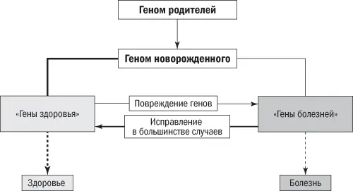 Рис 83Генетический детерминизм Здоровье и заболевания в основном - фото 16