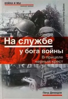 Петр Демидов - На службе у бога войны. В прицеле черный крест