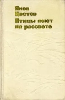 Яков Цветов - Птицы поют на рассвете