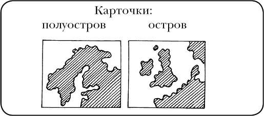 Дети знакомятся с удивительными экзотическими созданиями природы прекрасными - фото 31