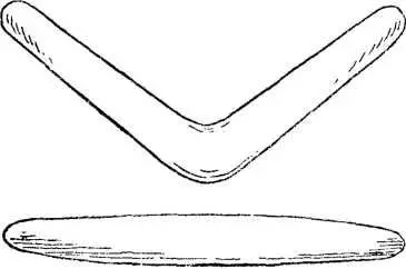 Рис 6 Бумеранг Изготовлялся бумеранг из дерева или костей животных - фото 7